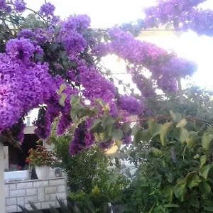 Branka Apartman Rab Town